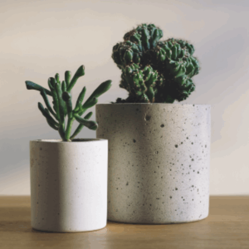 Home 8 cropped garden home